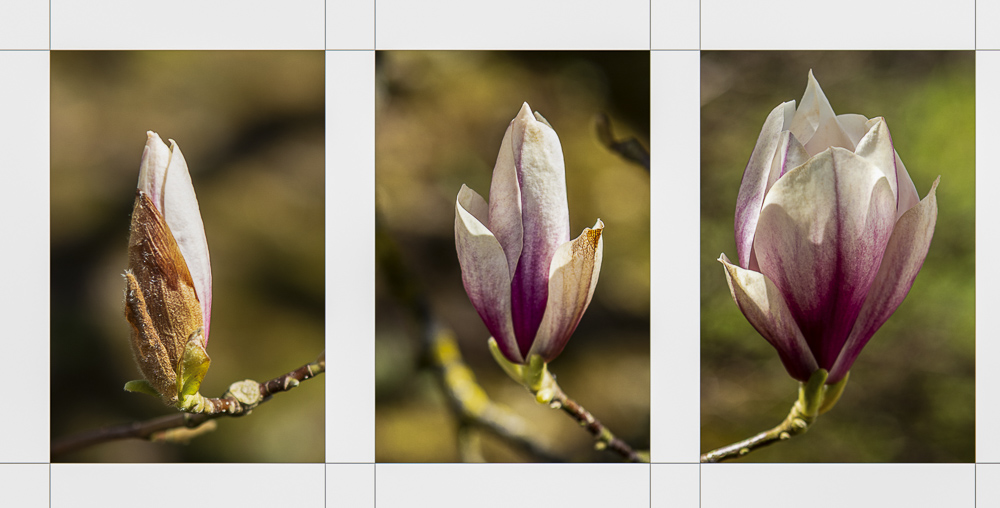 Platz 9 Juergen Feldmann 